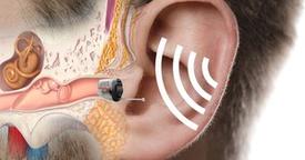 Guidonia Cercasi: 500 volontari con più di 50 anni (Clicca qui)